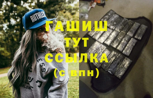 хмурый Белокуриха