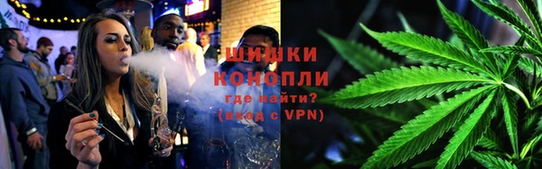 хмурый Белокуриха