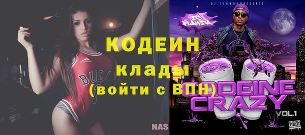 молекула духа Переславль-Залесский