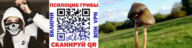 Галлюциногенные грибы мицелий  мега ТОР  Славгород 